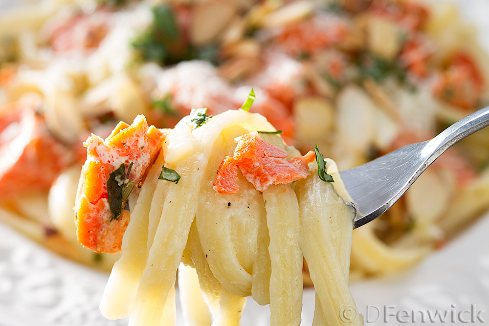 Creamy Noodles with Salmon by D Fenwick, http://dfenwickphotography.com